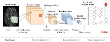 convolutional network