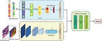 multimodal machine learning