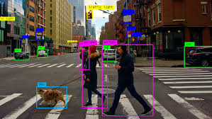 object detection machine learning