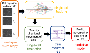 machine learning based