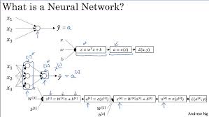 andrew ng neural networks