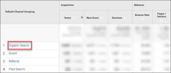 organic search google analytics