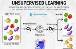 examples of unsupervised learning