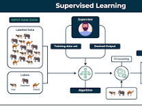 supervised learning and unsupervised learning